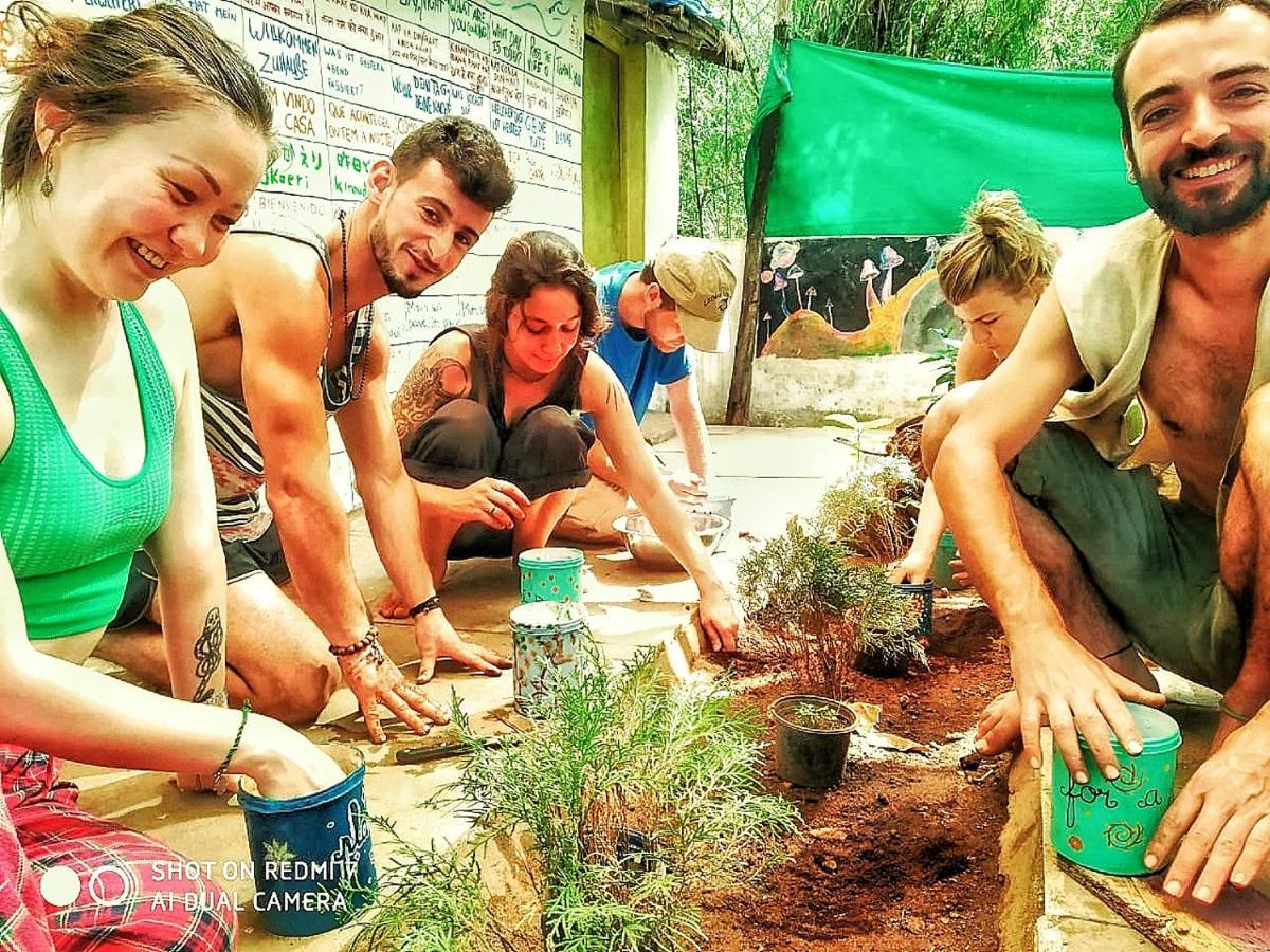 Bunkd Hostel, Anjuna Eksteriør bilde